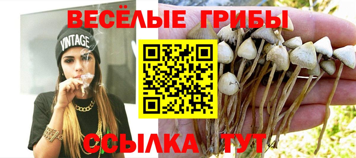 Галлюциногенные грибы MAGIC MUSHROOMS Губкинский