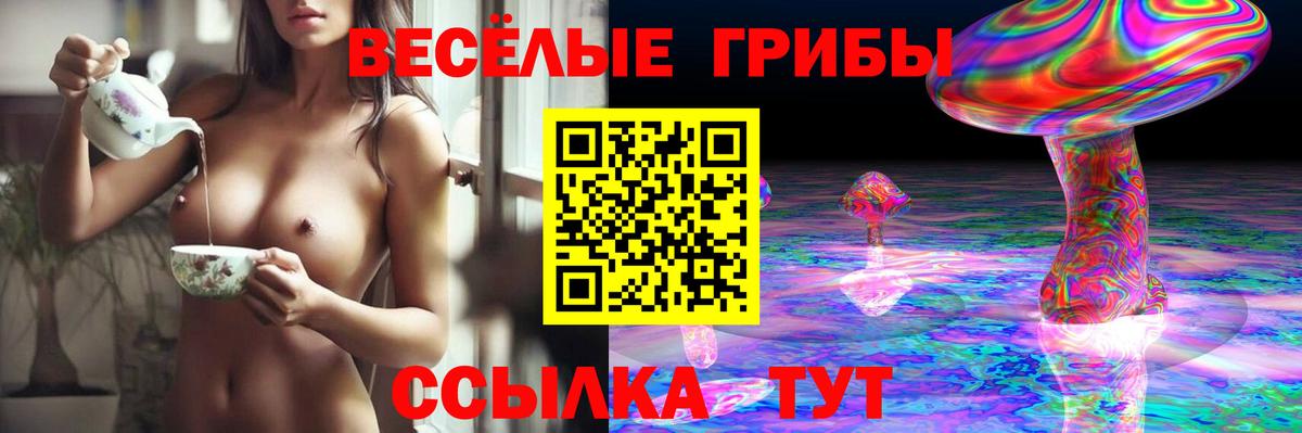 Псилоцибиновые грибы прущие грибы  Вход с VPN  где можно купить наркотик  Губкинский  Псилоцибиновые грибы мицелий 